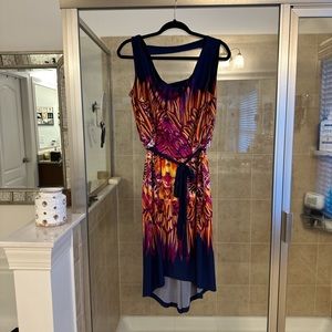 Fenn Wright Manson Woman Career
Formal Sheath Sleeveless Dress Size 8
Multicolor